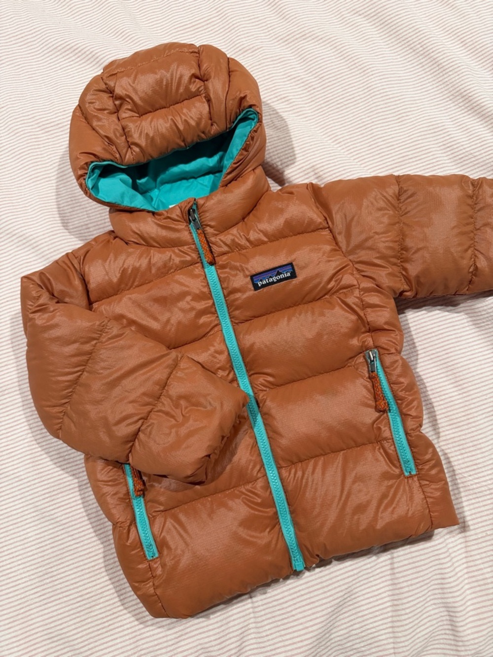 Patagonia Baby Hi-Loft Down Sweater Hoodie